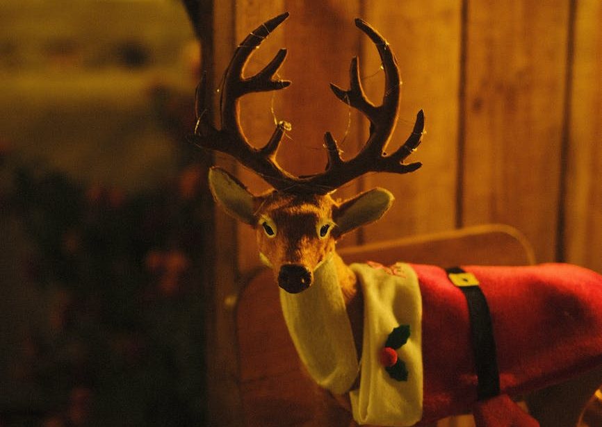 Irvasice u mitu o Deda&nbsp;Mrazu