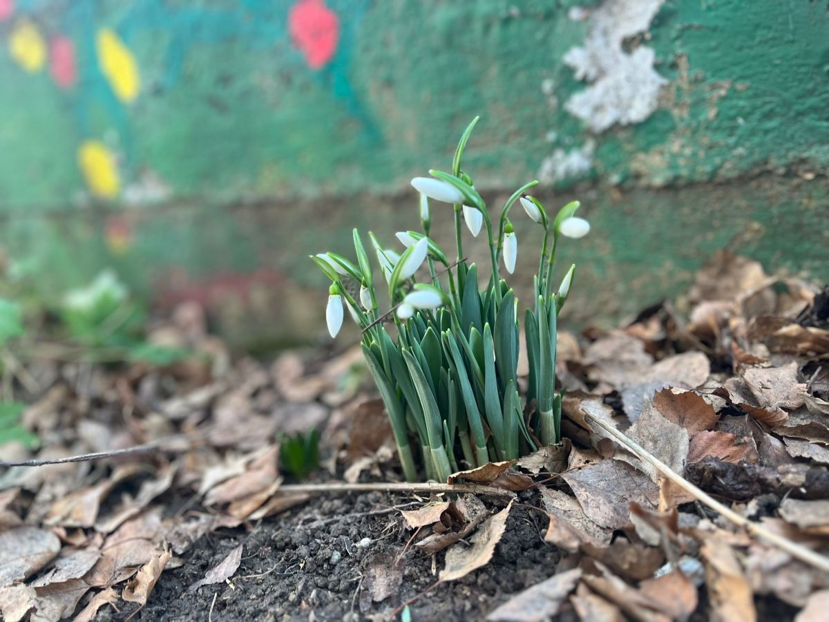Visibabe: Hej ne brini, stiže&nbsp;proleće
