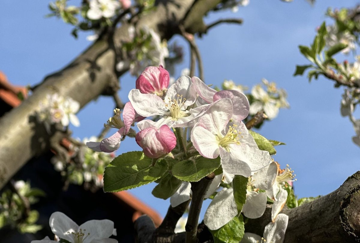 Sreću priredite same&nbsp;sebi