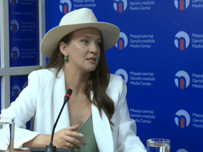 Gračanica: Political-Propaganda Violence on the Day for the Elimination of Violence Against&nbsp;Women